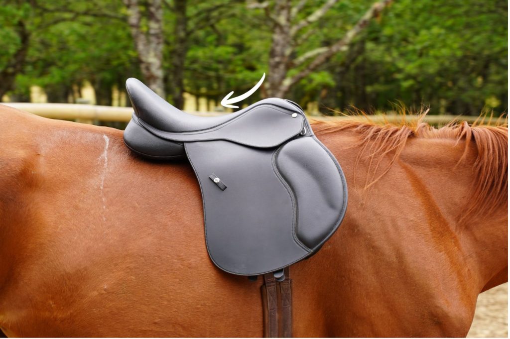 Attention à l'angle du pommeau pour les selles destinées aux chevaux à haut garrot.