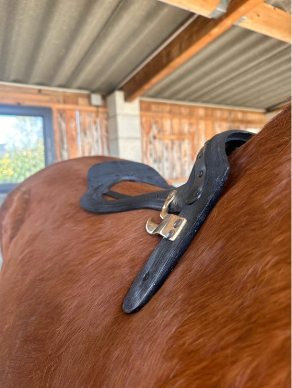 Un arçon à pointes longues sur une selle pour cheval