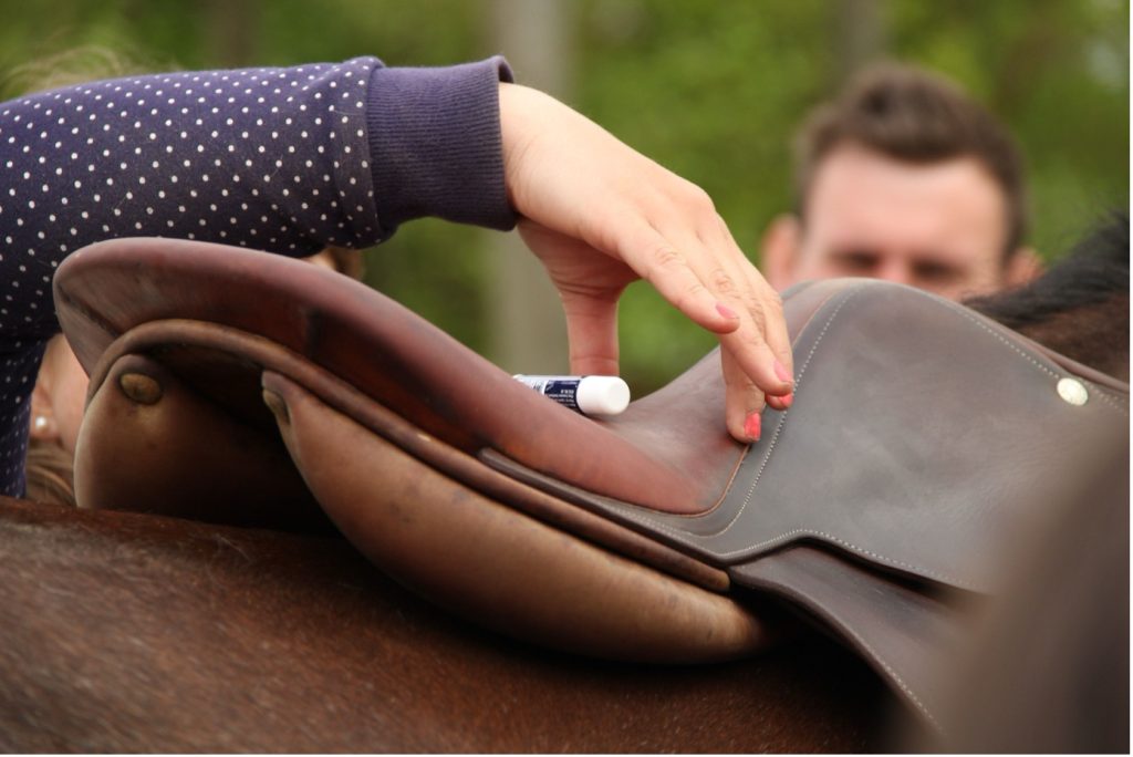 Une selle équilibrée est à la base du saddle fiting.