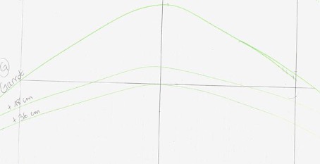 Prise de mesure d'un dos de cheval par un saddle fitter