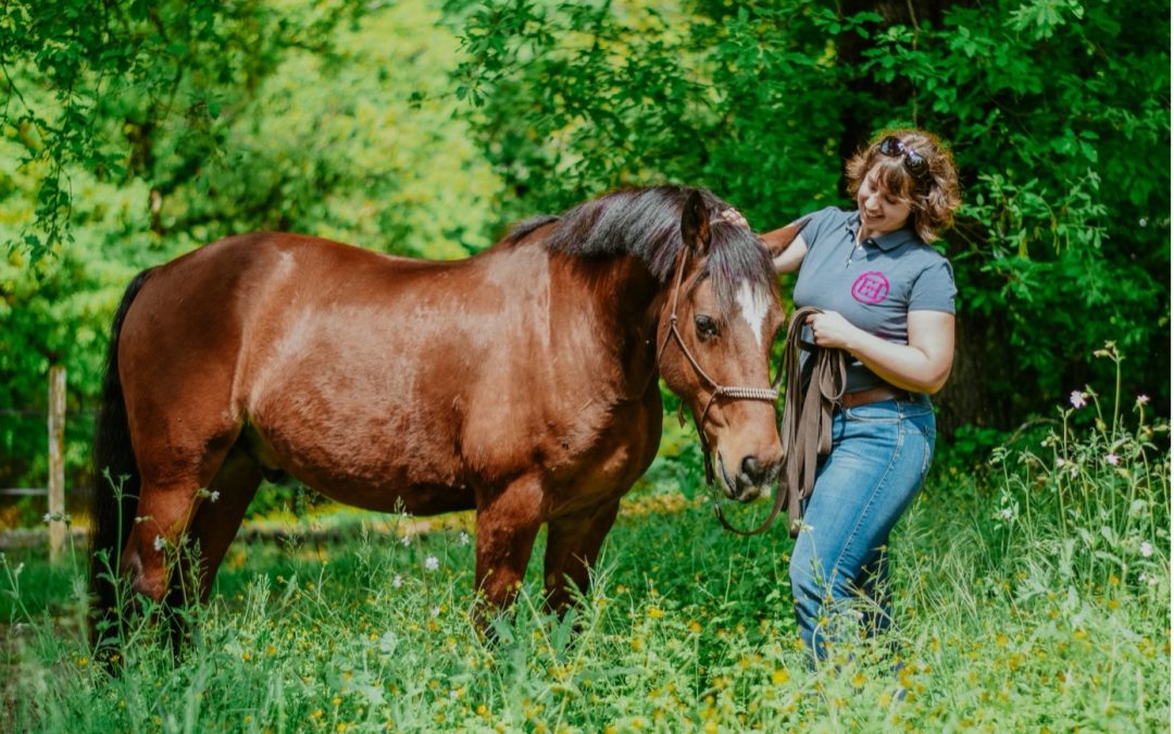 trouver une selle pour un gros cheval, mission impossible ?
