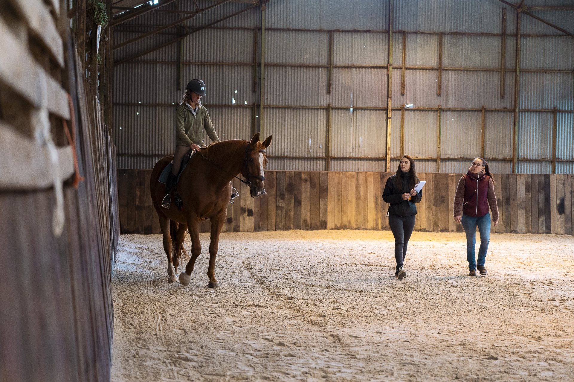 Devenir saddle fitter ou bit fitter avec la formation professionnelle Ergonomie Equestre