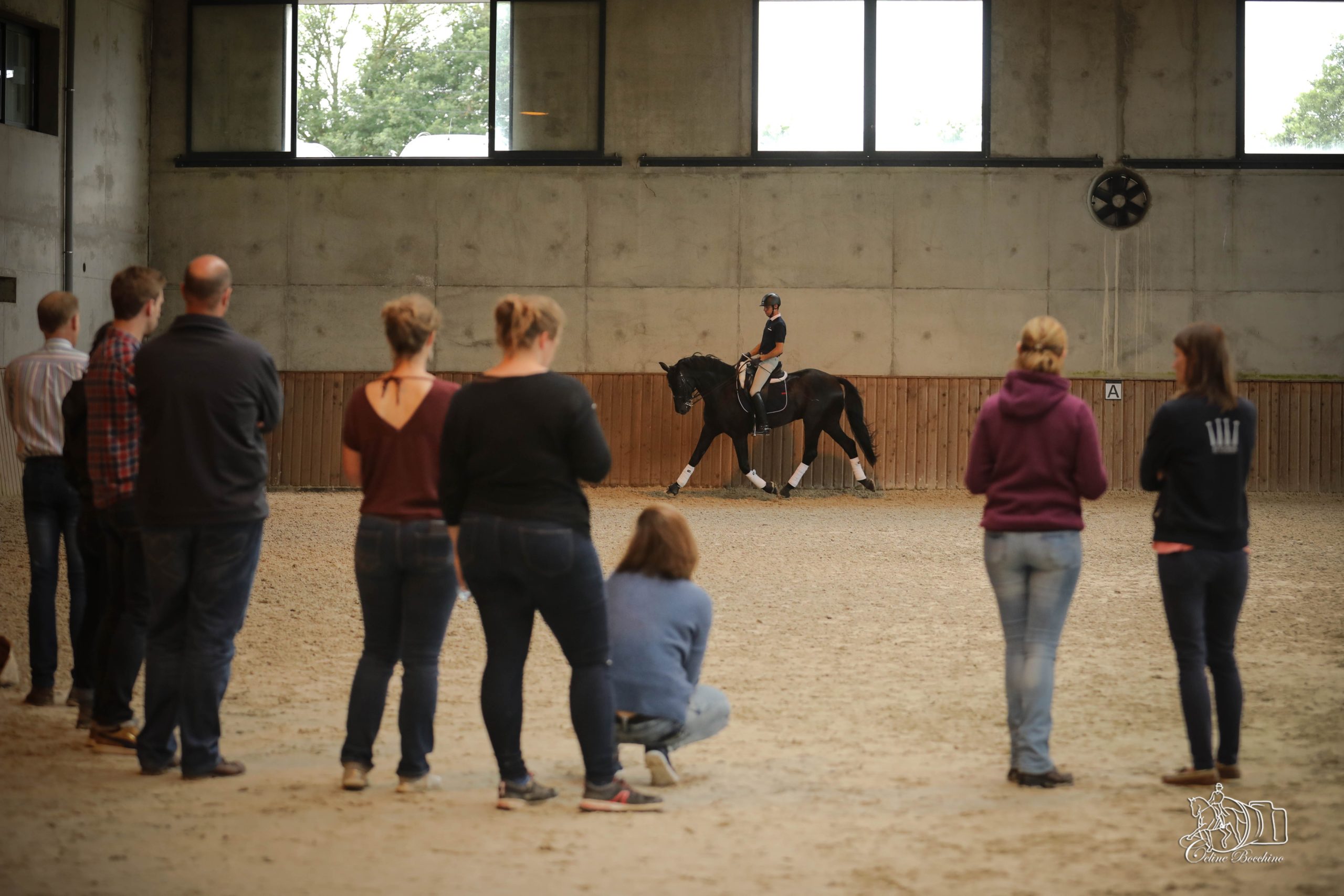 Devenir saddle fitter ou bit fitter avec la formation professionnelle Ergonomie Equestre