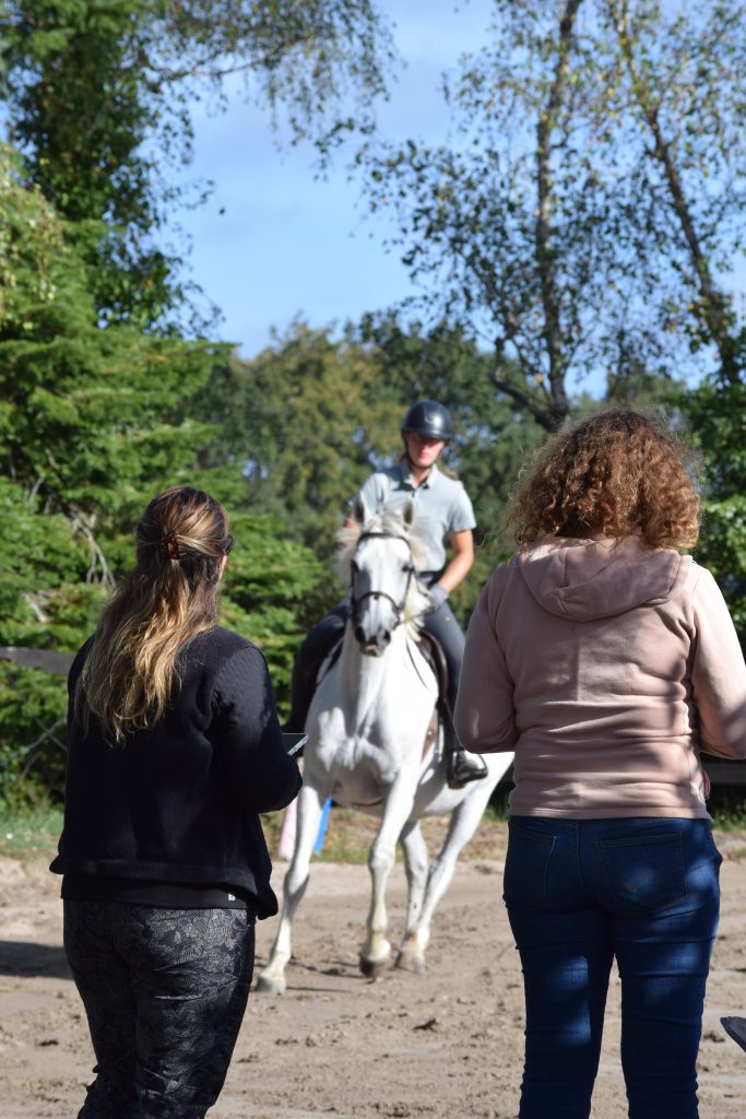 Professionnel du soin face à une selle inadaptée, le besoin d'analyse en ergonomie équestre