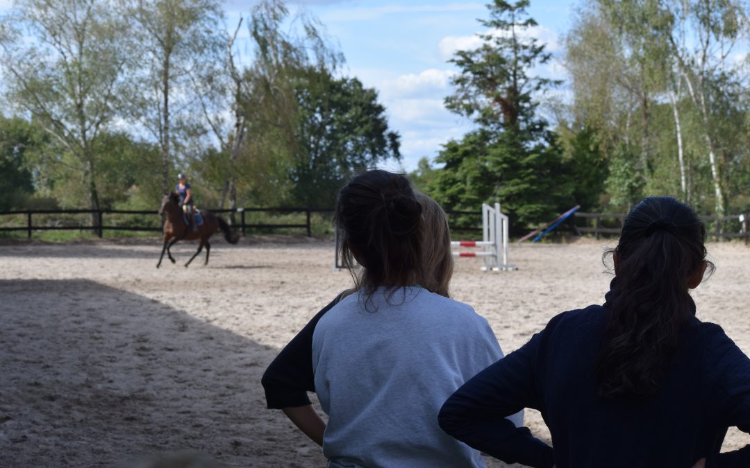 Enseignant observant la position d'une cavalière à cheval dans le cadre d'une démarche d'ergonomie équestre