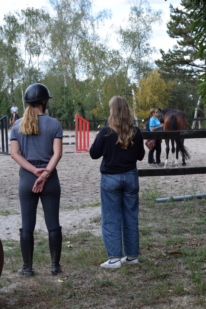 Échange constructif sur l'ergonomie équestre entre un·e soignant·e équin et un·e propriétaire de cheval